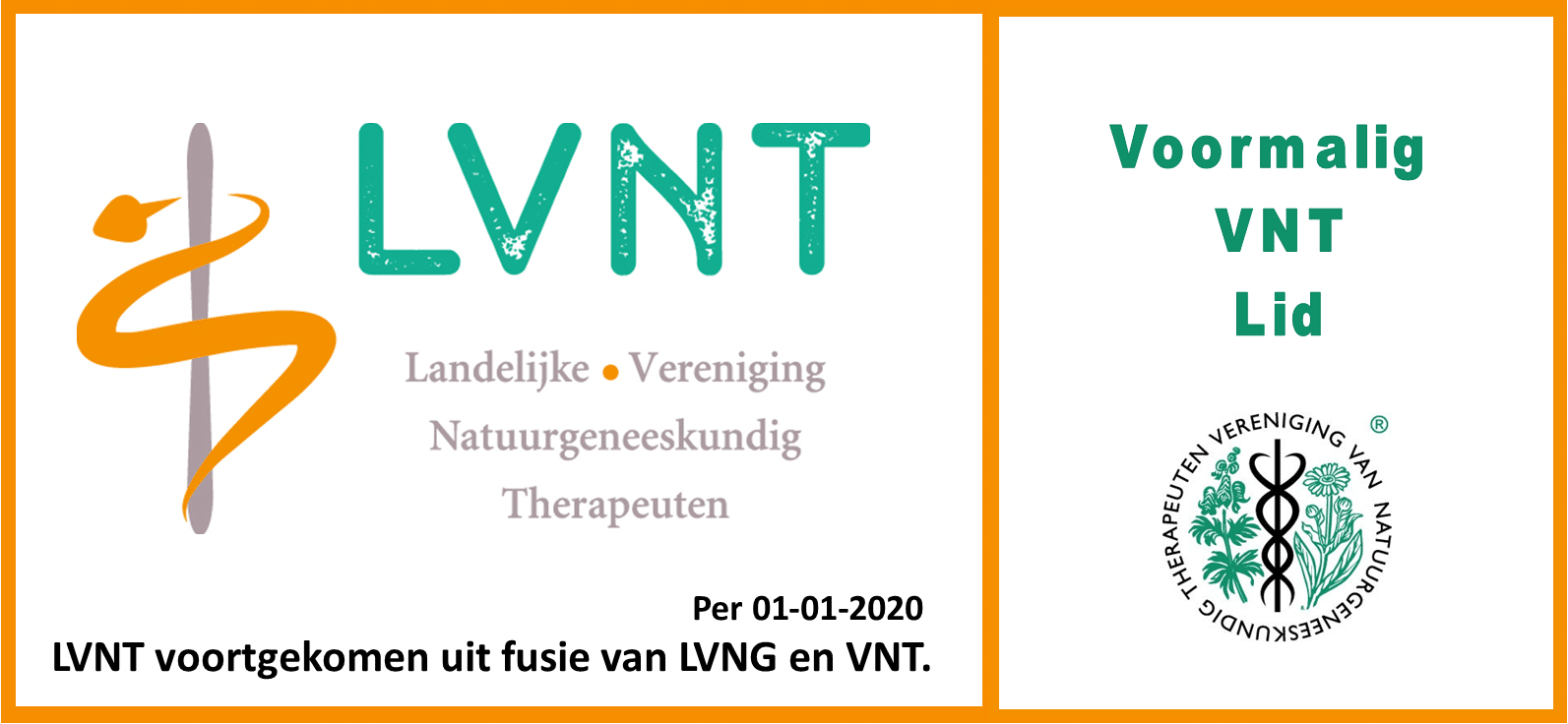 Logo LVNT
